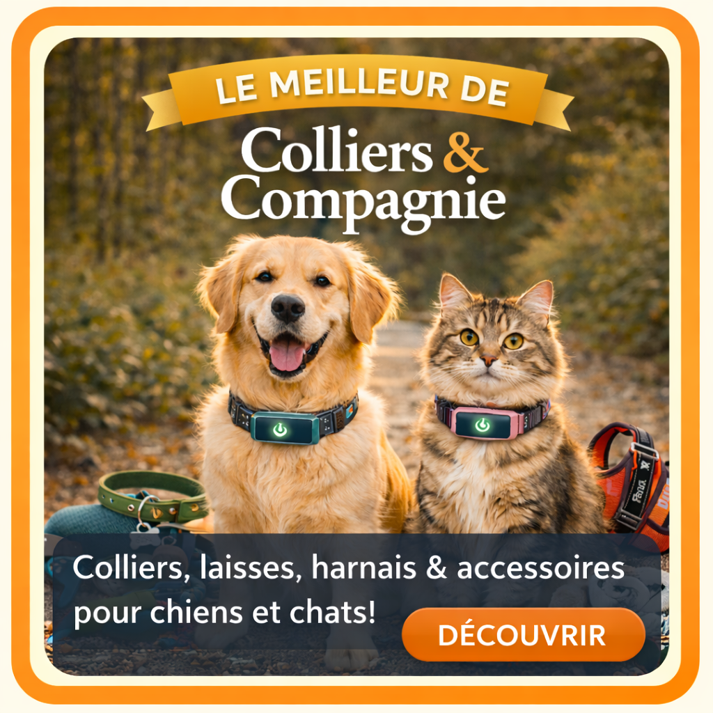 Le meilleur de Colliers & Compagnie