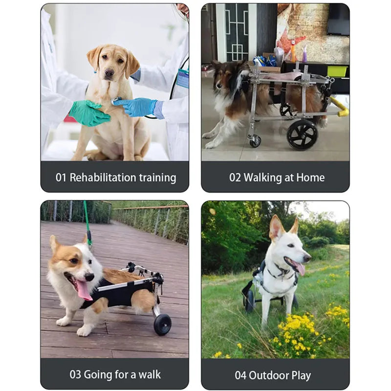Dog Training Aids Four Wheeled Dog Legs Disability Stroller Pet Everything Harnesses Puppy Supplies Training Behavior Accessory