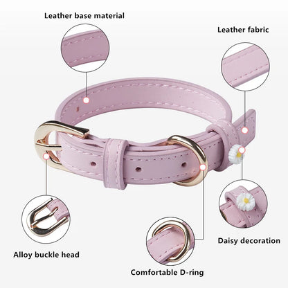 Cute Dog Accessories PU Leather Pet Collar Daisy Decoration Alloy Buckle Head Traction Rope Neck Loop for Cat Teddy Schnauzer